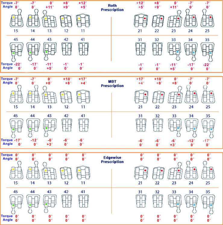 what_is_orthodontics